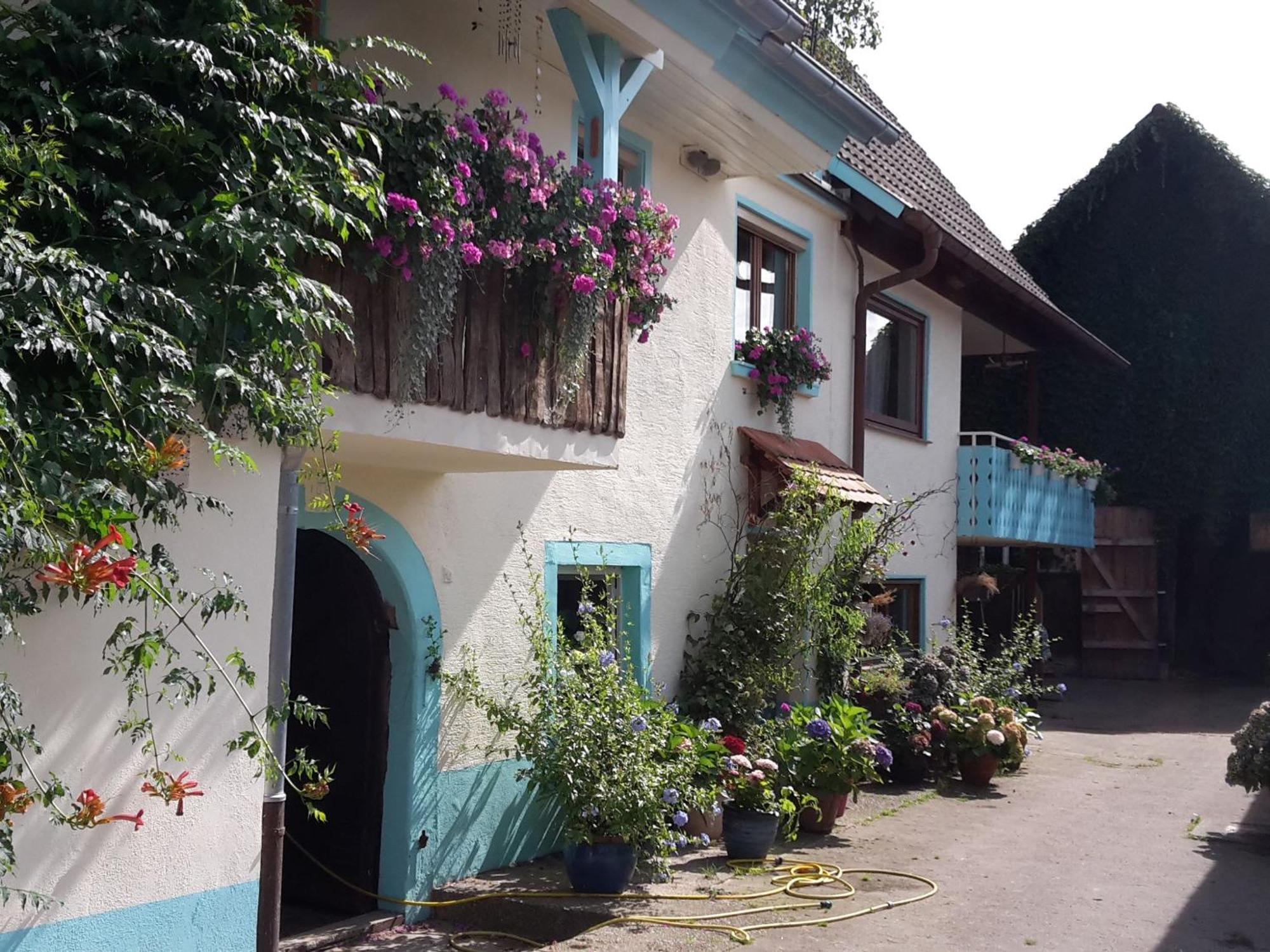 Апартаменты Rosenhof Broggingen Хербольцхайм Экстерьер фото