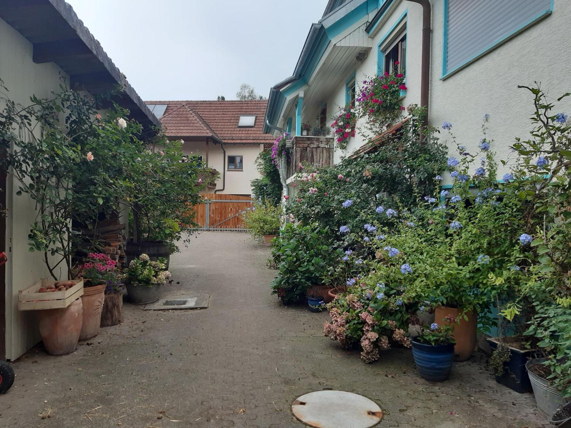 Апартаменты Rosenhof Broggingen Хербольцхайм Экстерьер фото